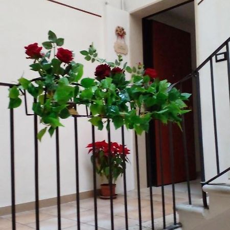 巴里 La Rosa Rossa酒店 外观 照片